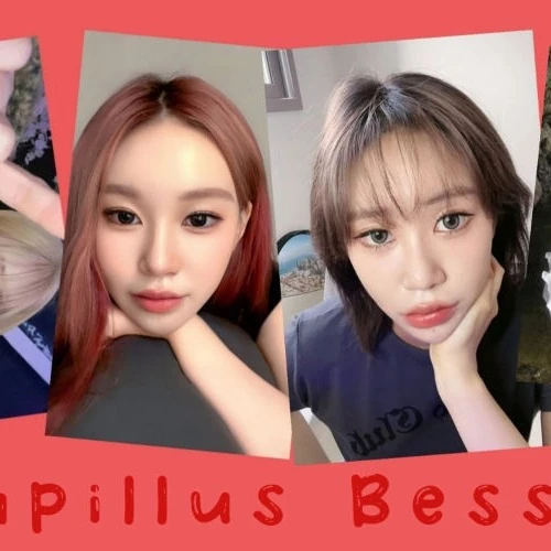 Today's Most Loved Bessie (Lapillus)