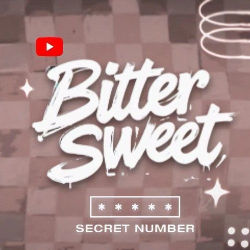 팬들이 뽑은 SECRET NUMBER 최고의 순간