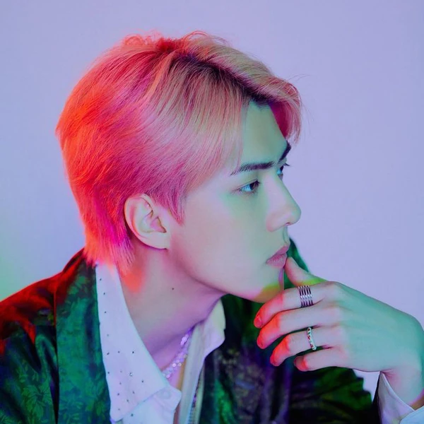 팬들이 뽑은 세훈 (EXO) 최고의 순간