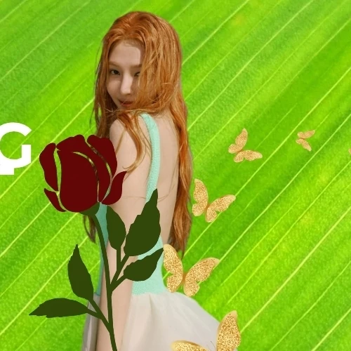 Fans' Pick: Best Moment of Joy (Red Velvet)