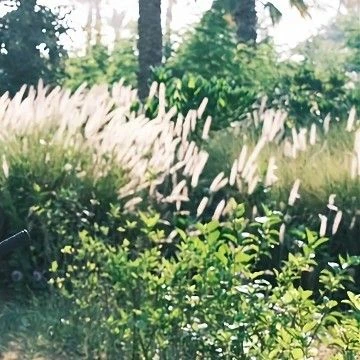 Fans' Pick: Best Moment of Solar (MAMAMOO)