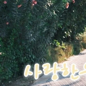 Today's Most Loved Solar (MAMAMOO)