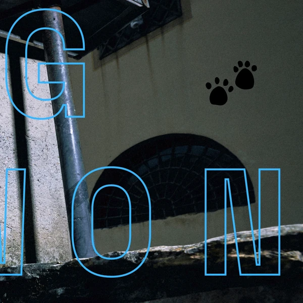 Today's Most Loved Jungwon (ENHYPEN)