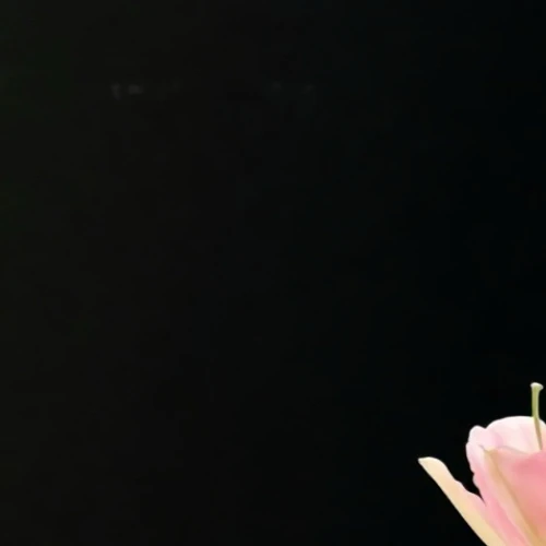 Signature photo of ソヨン (i-dle) capturing their charm