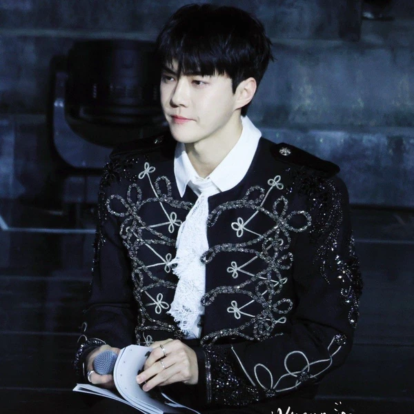 팬들이 뽑은 세훈 (EXO) 최고의 순간