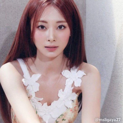 쯔위 (TWICE) 팬심 가득한 인기 사진