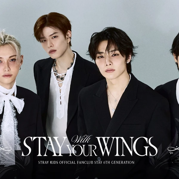 粉絲票選的Stray Kids最佳瞬間