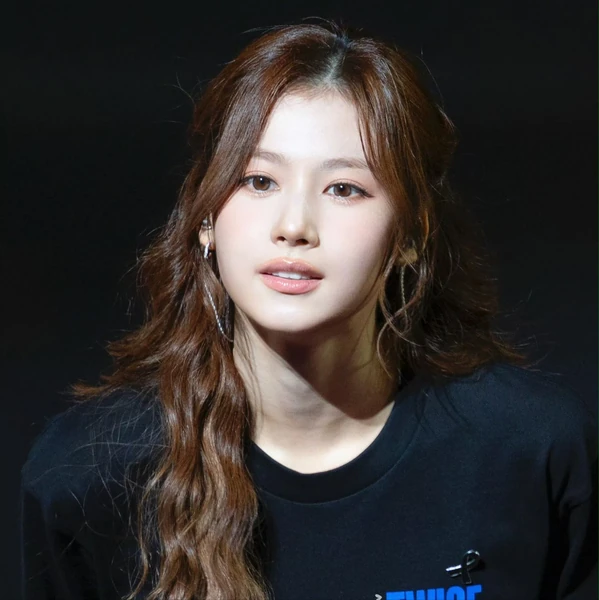 サナ (TWICE)への愛が詰まった人気写真