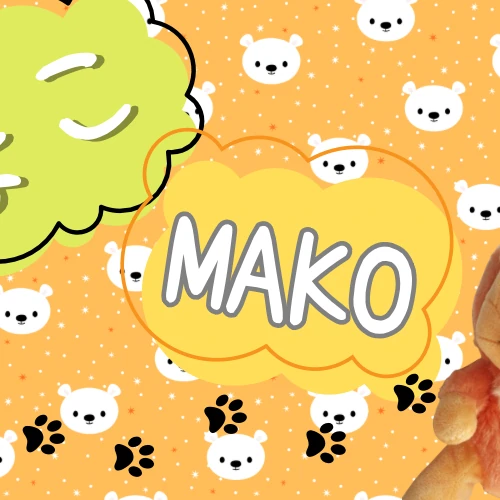 마코 (NiziU) 팬심 가득한 인기 사진