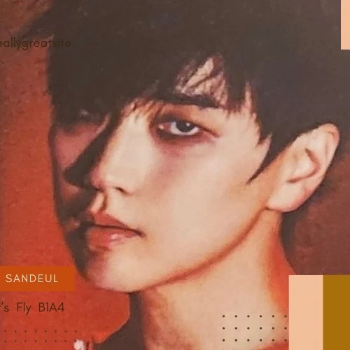 ファンが選んだサンドゥル (B1A4)最高の瞬間