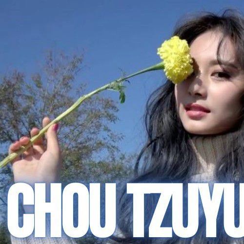 쯔위 (TWICE) 팬심 가득한 인기 사진