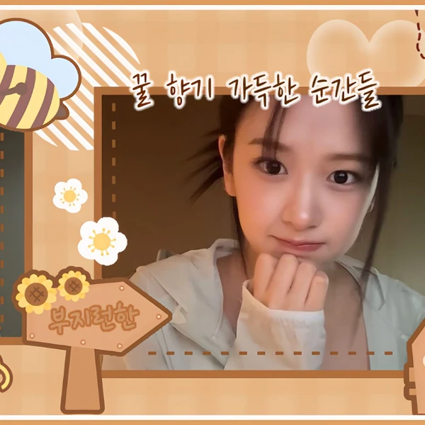 充满粉丝爱意的安宥眞 (IVE)人气照片