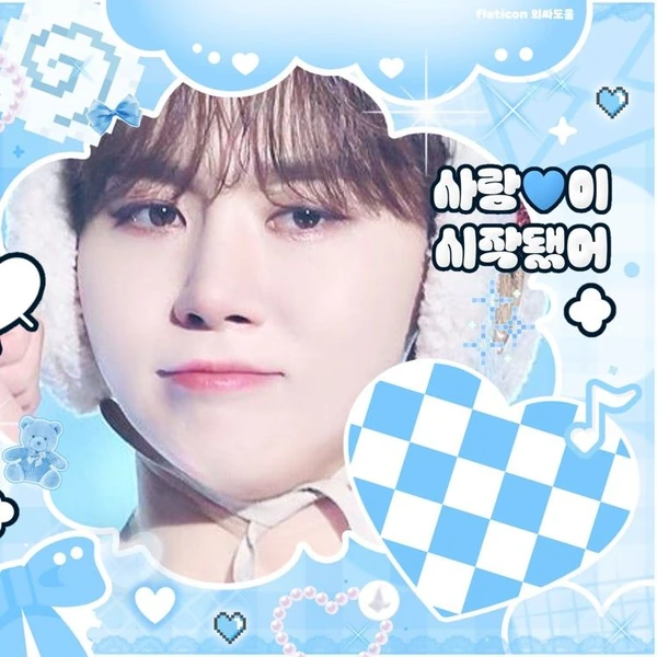 세븐틴 팬심 가득한 인기 사진