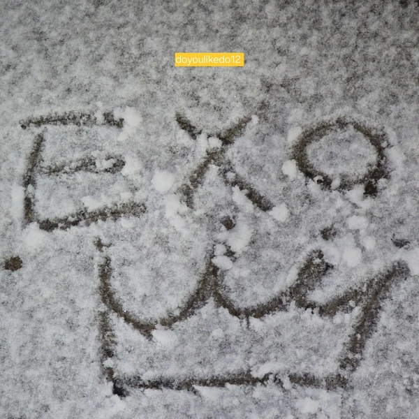 充滿粉絲愛意的EXO人氣照片