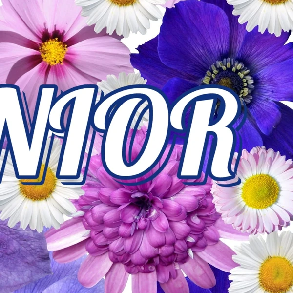 Penampilan Super Junior yang Paling Dicintai Hari Ini