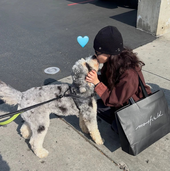 지효 (TWICE) 팬심 가득한 인기 사진