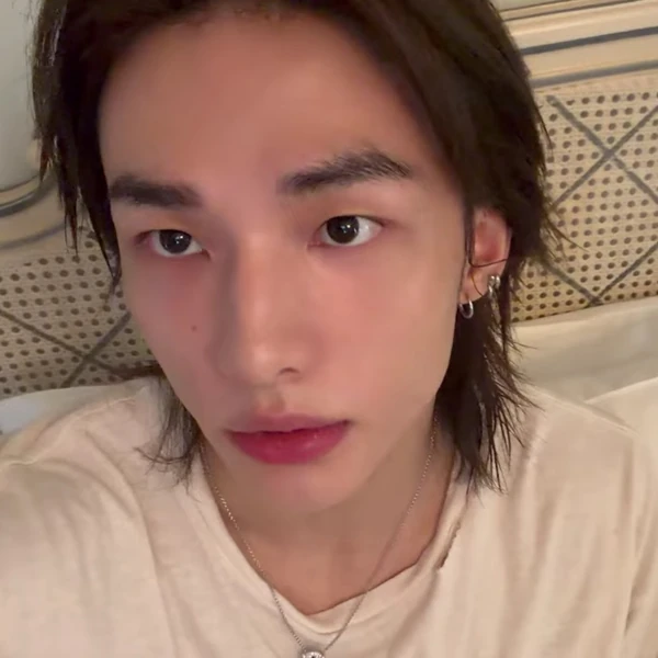 Momen terbaik pilihan fandom Hyunjin (Stray Kids)