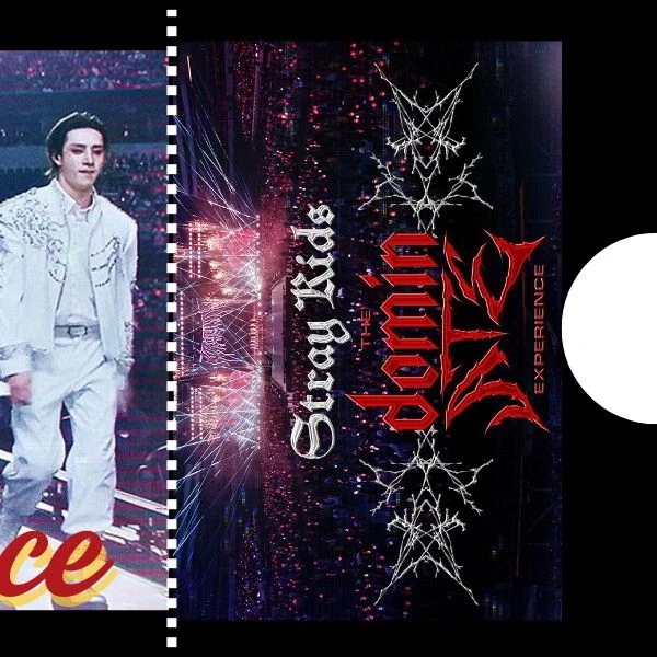 팬들이 뽑은 Stray Kids 최고의 순간