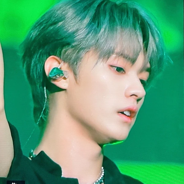 팬들이 뽑은 리노 (Stray Kids) 최고의 순간