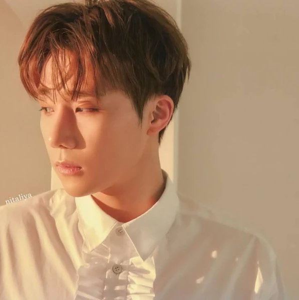 Fans' Pick: Best Moment of Sungkyu (INFINITE)