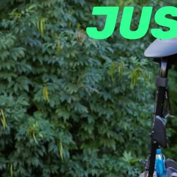 Popular profile picture of Justin Bieber loved by fans