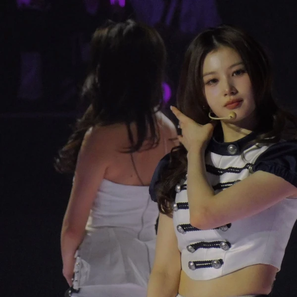 사나 (TWICE) 팬심 가득한 인기 사진