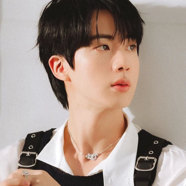 진 (방탄소년단) 팬심 가득한 인기 사진