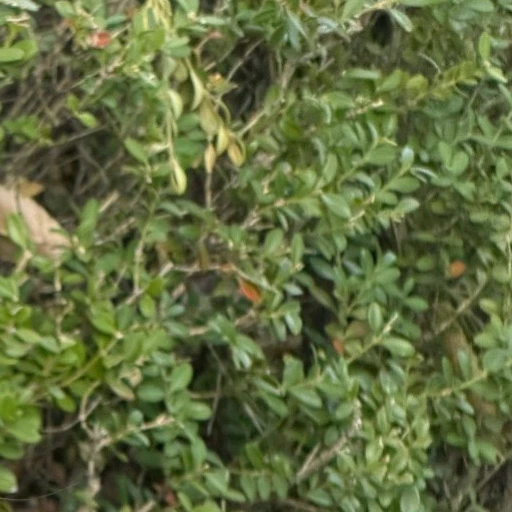 팬들이 뽑은 유나 (ITZY) 최고의 순간