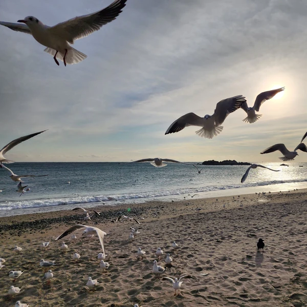 아이유 팬심 가득한 인기 사진