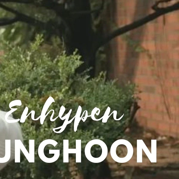 성훈 (ENHYPEN) 팬심 가득한 인기 사진