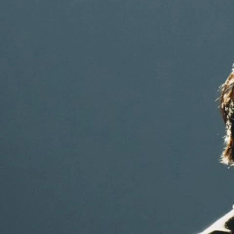 ファンが選んだファサ (MAMAMOO)最高の瞬間