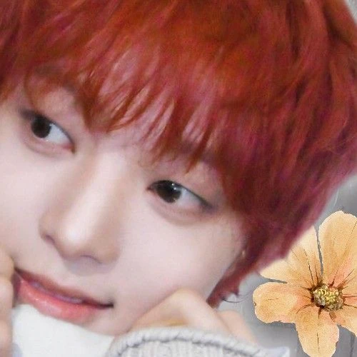 ウィジュ (&TEAM)への愛が詰まった人気写真