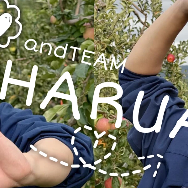 오늘 가장 사랑받은 하루아 (앤팀)의 모습