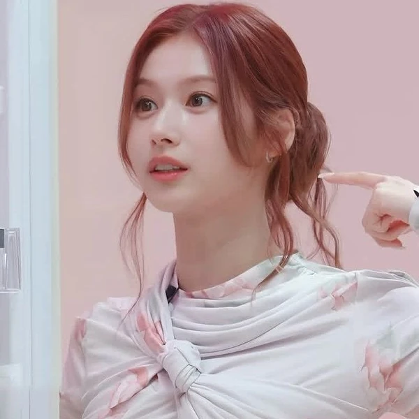 팬들이 뽑은 사나 (TWICE) 최고의 순간