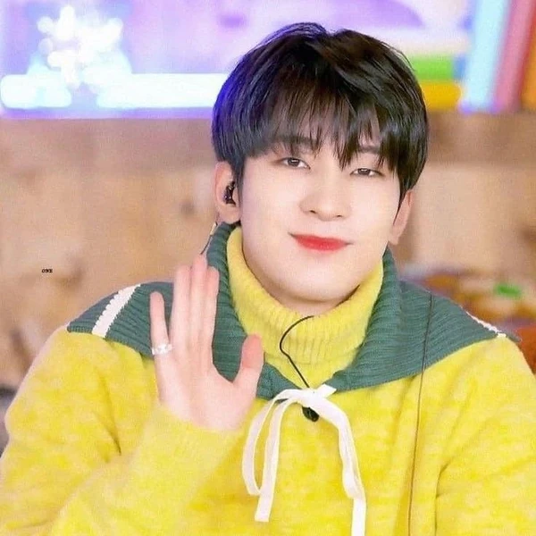 Fans' Pick: Best Moment of Wonwoo (SEVENTEEN)