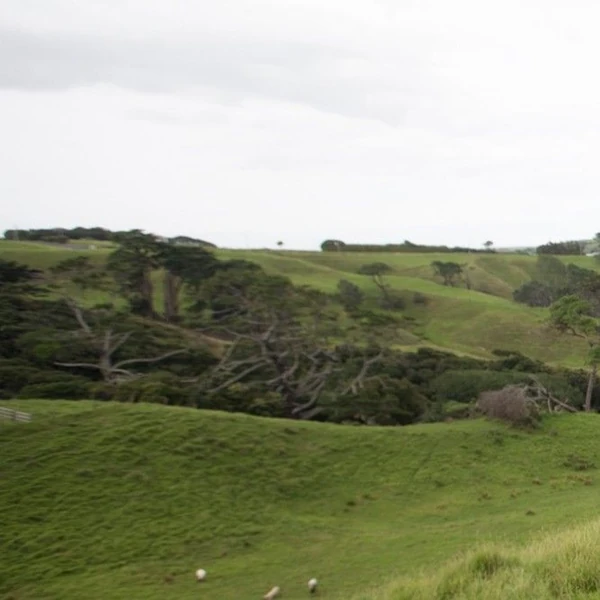 Top Photo Full of Solar (MAMAMOO) Love