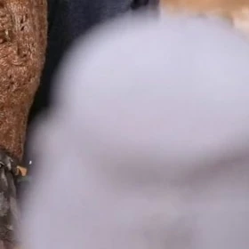 Fans' Pick: Best Moment of Jeong Yein (Lovelyz)