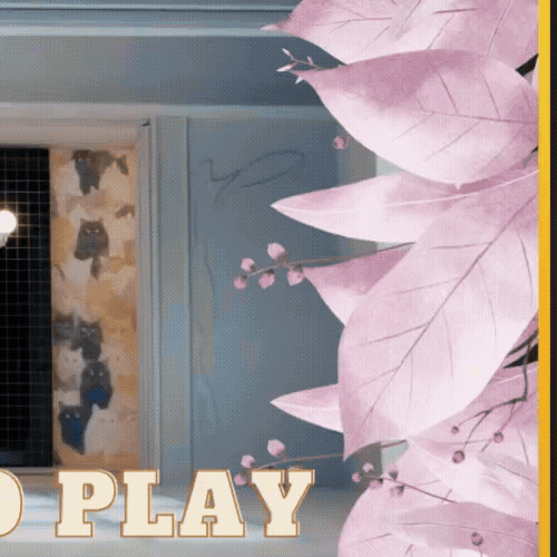 오늘 가장 사랑받은 모모 (TWICE)의 모습