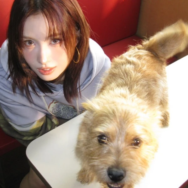 모모 (TWICE) 팬심 가득한 인기 사진