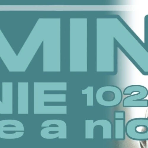 Fans' Pick: Best Moment of Minnie (i-dle)