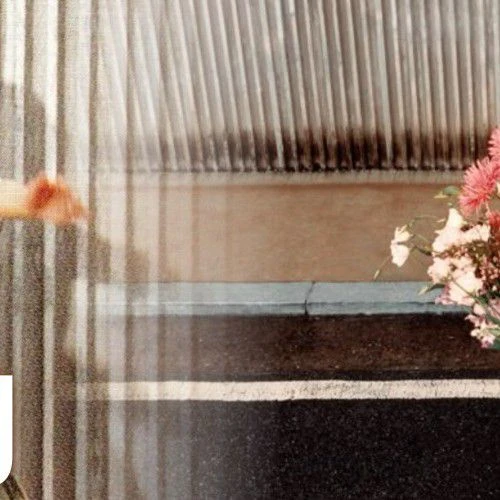 쯔위 (TWICE) 팬심 가득한 인기 사진