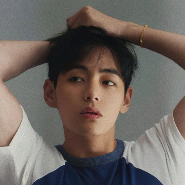 粉丝票选的V (防弹少年团)最佳瞬间