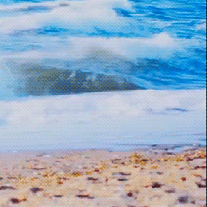 Today's Most Loved Shownu (MONSTA X)