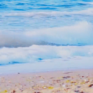 Top Photo Full of Shownu (MONSTA X) Love