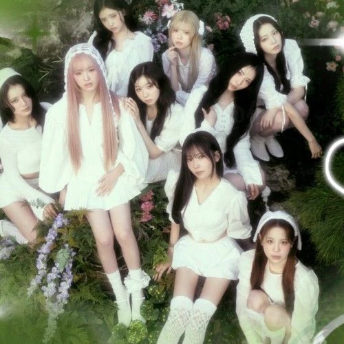 NiziU 팬심 가득한 인기 사진