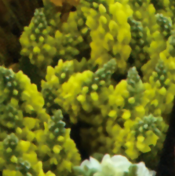 Best moment chosen by 현진 (루셈블) fandom