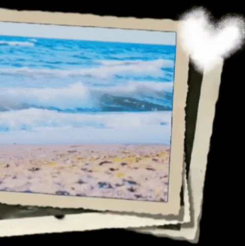 셔누 (몬스타엑스)의 커뮤니티에서 가장 인기있는 배너 게시글