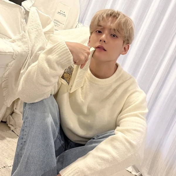 Fans' Pick: Best Moment of Lee Minhyuk (BTOB)