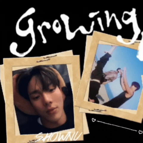 최애 팬덤이 만들어낸 셔누 (몬스타엑스)의 1등 배너 게시글