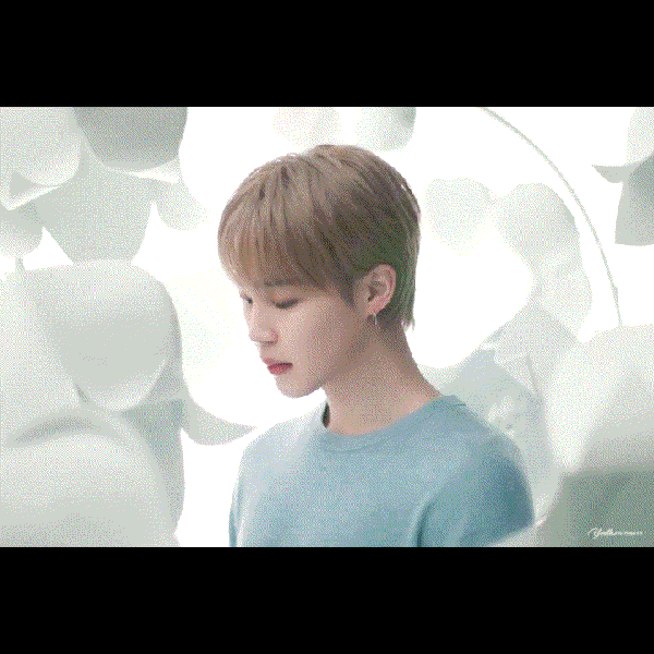 Today's Most Loved Jimin (BTS)